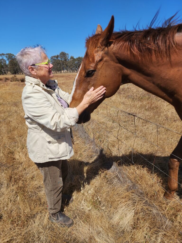 Read more about the article Animal communication allowed me to see Rup run long after he stopped racing