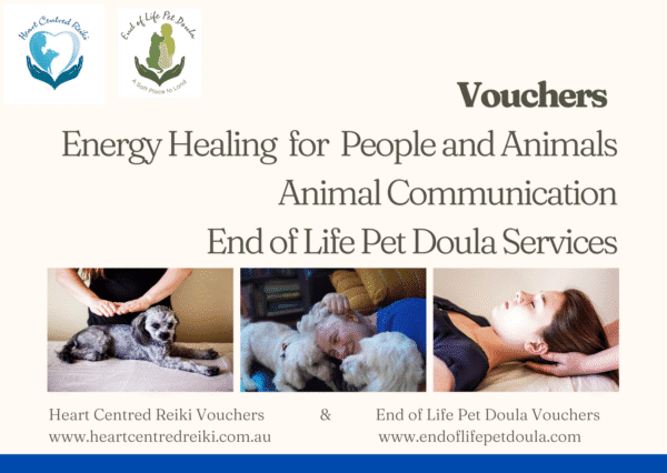 Gift Vouchers