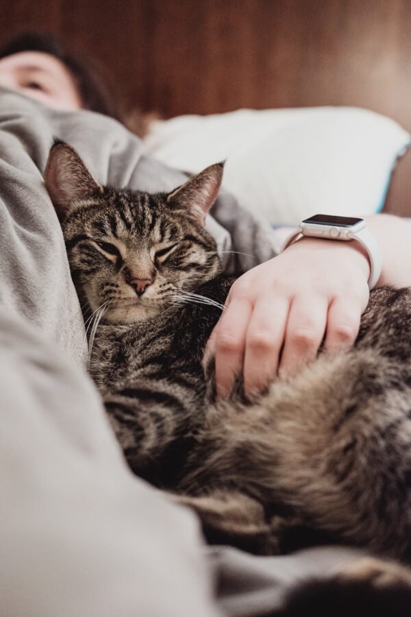 Woman holding a tabby cat who is nestling into her