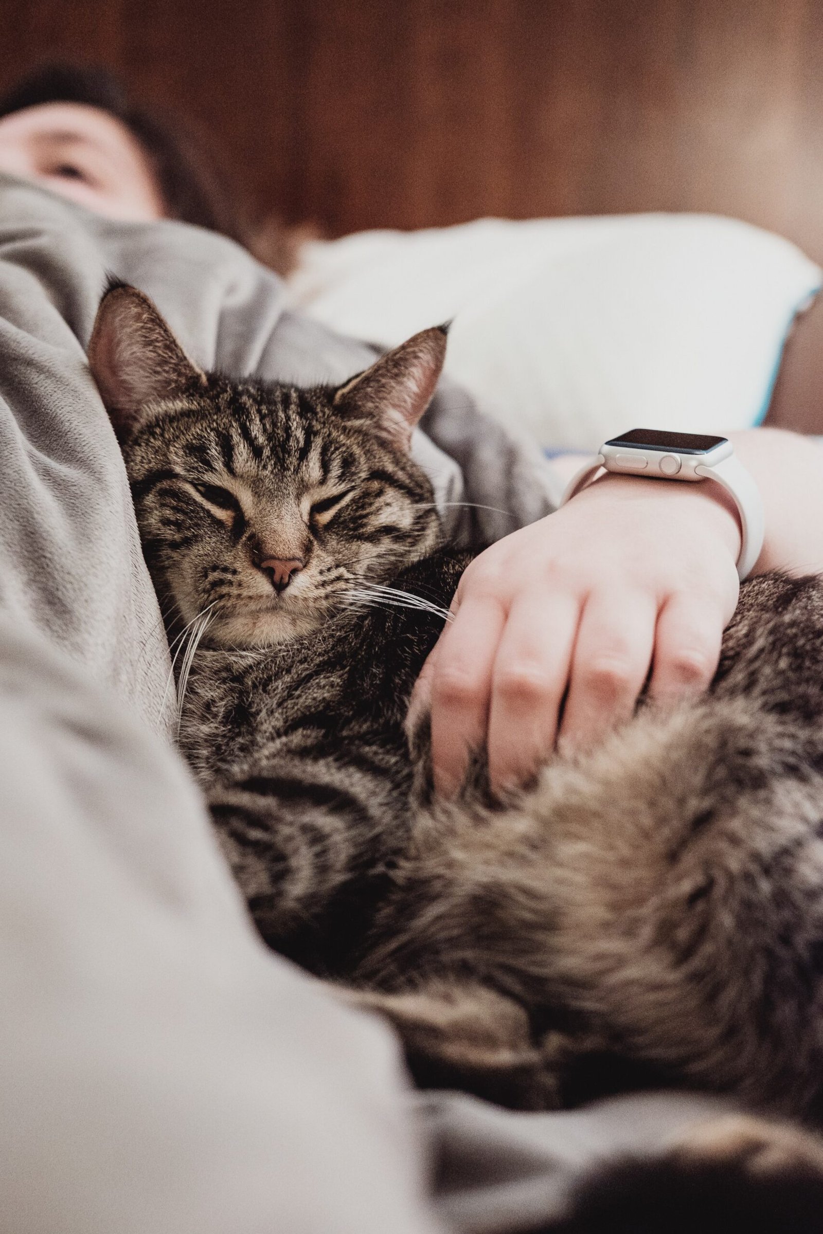 chris-abney-mAsKA0jFfeQ-unsplash Woman holding a tabby cat who is nestling into her