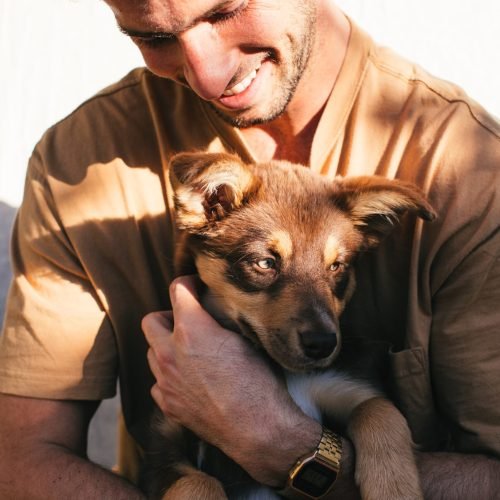 calmer emotions A man holding a kelpie